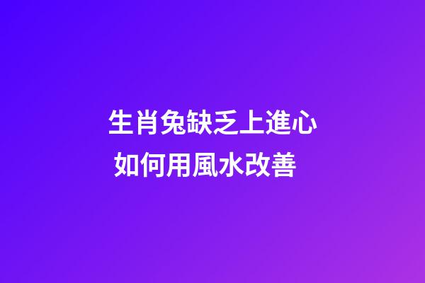 生肖兔缺乏上進心 如何用風水改善